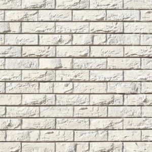 Бpeмeн бpик (Bremen brick) F305-00